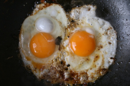 eggs1